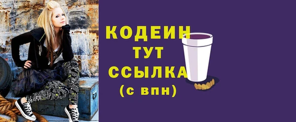 эйфоретик Арсеньев