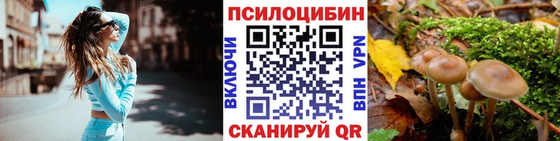 Псилоцибиновые грибы Psilocybe  Верхняя Салда 